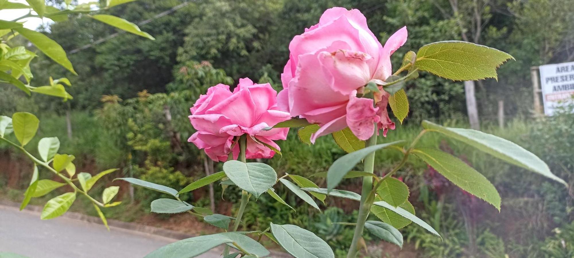 Pousada Alejandro Cunha Esterno foto